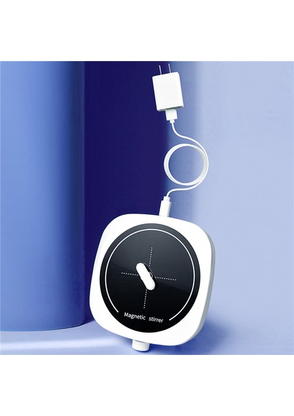 Manyetik Karıştırıcı Mini Laboratuvar Karıştırma Mikseri Taşınabilir Karıştırma Plakası ve Karıştırma Çubuğu 2l 4000RPM Laboratuvar Ab Fişi (Yurt Dışından)