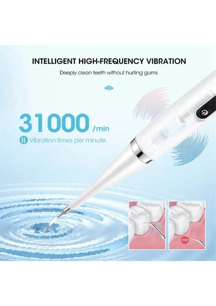 Elektrikli Diş Temizleyici Diş Beyazlatma ve Temizleme Cihazı Su Geçirmez Tartar Temizleyici Ferah Nefes Ağız Bakımı, Siyah (1 Adet Başlık) (Yurt Dışından) fırsatları