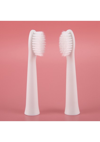 Panasonic EW0972 Beyaz Diş Fırçası Için Yedek Fırça Başlıkları, 2 Adet (Yurt Dışından) modelleri