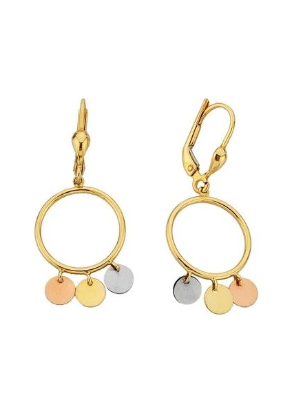 - Küpe - 14 Ayar Altın - Gramı : 2.14 fiyatları