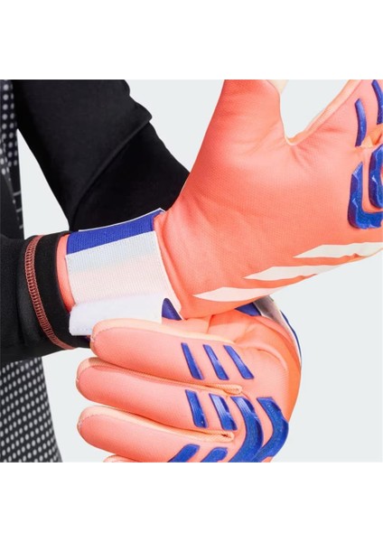 Pred Gl Lge modelleri