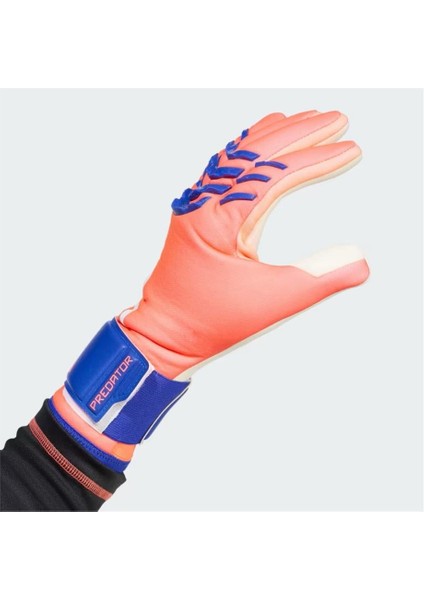 Pred Gl Lge fırsatları