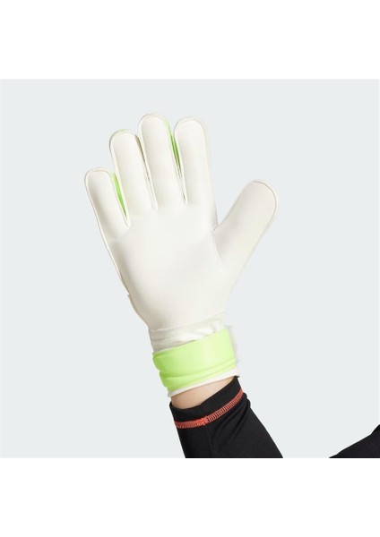 Pred Gl Trn fiyatları