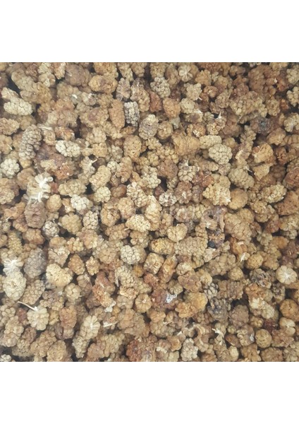 Yerli Dut Kurusu Ekonomik 12KG