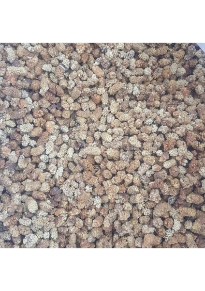 Yerli Dut Kurusu Ekonomik 12KG modelleri