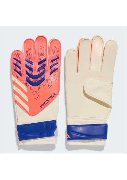 Pred Gl Trn modelleri