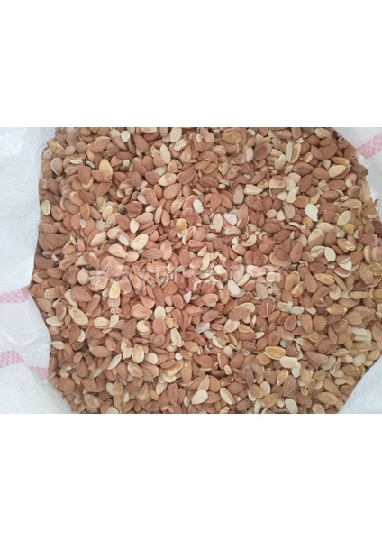 Kırık Tatlı Kayısı Çekirdeği 25 kg