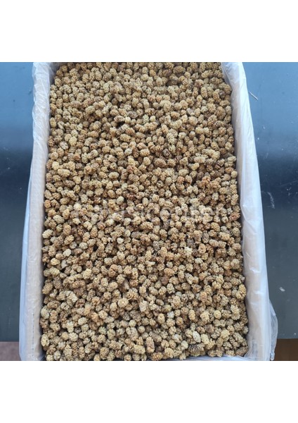 Özel Beyaz Dut Kurusu 11.5 kg indirimleri