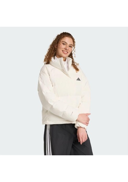 W Helıonıc Rlx modelleri