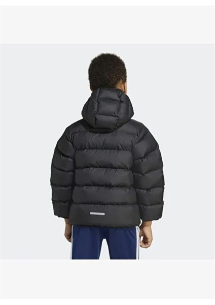 Lk Sd Jkt fiyatları