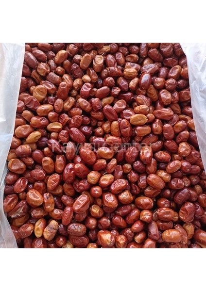 Iğde Kurusu 10 kg modelleri