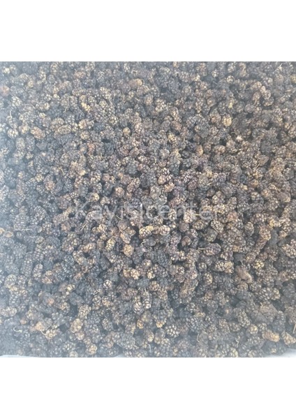 Ekonomik Karadut Kurusu 10 kg