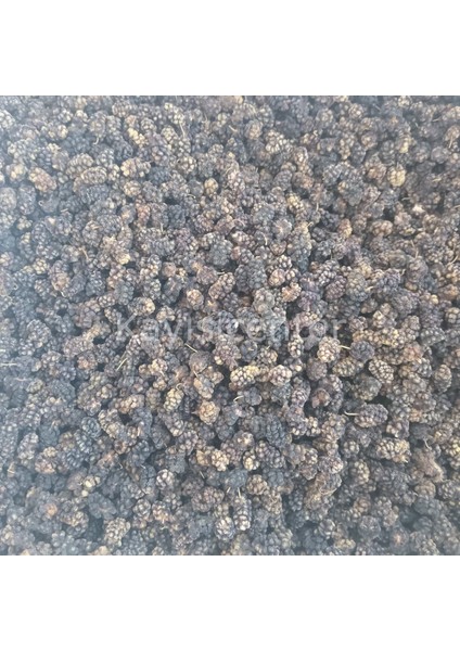 Ekonomik Karadut Kurusu 10 kg fiyatları