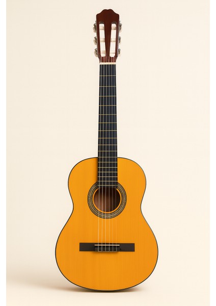 CE-55NT Naturel Klasik Gitar 4/4 ( Taşıma Kılıfı, Gitar Askısı, Tuner, Metod ve Pena Hediyeli) fiyatları