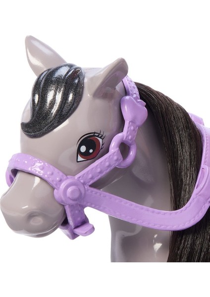 HTK29 Chelsea ve Midilli indirimleri