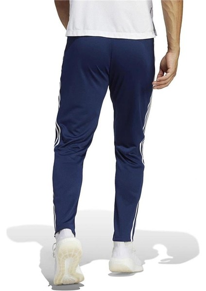 Tr-Es Base 3pt fiyatları