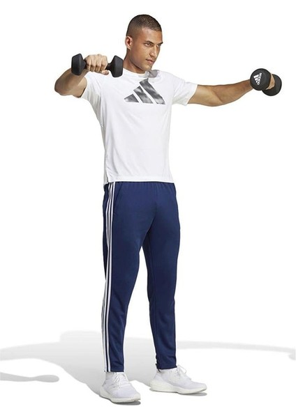 Tr-Es Base 3pt modelleri