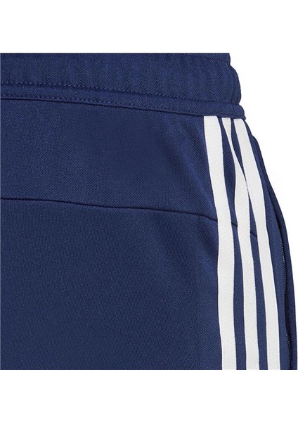 Tr-Es Base 3pt indirimleri