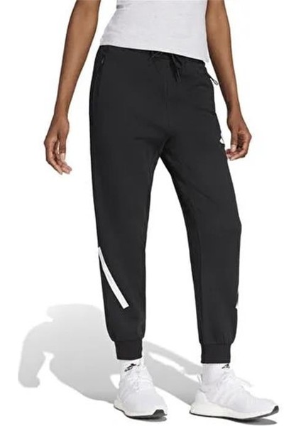 W Z.n.e. Pt modelleri