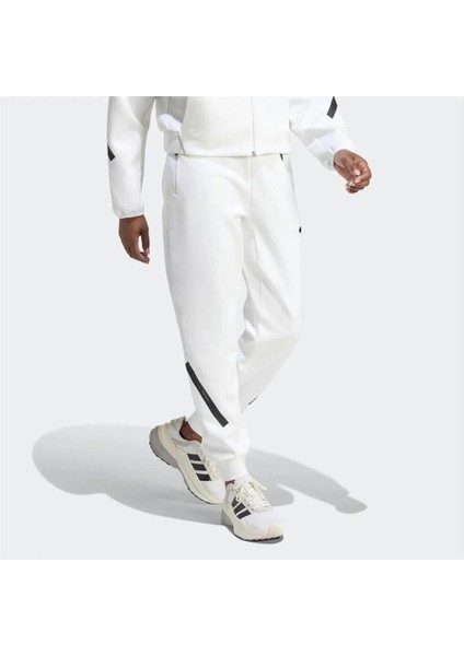 W Z.n.e. Pt modelleri