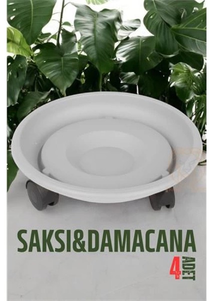 Engithalat Tekerlekli Saksı Altığı 4 Adet 37 cm Beyaz fiyatları