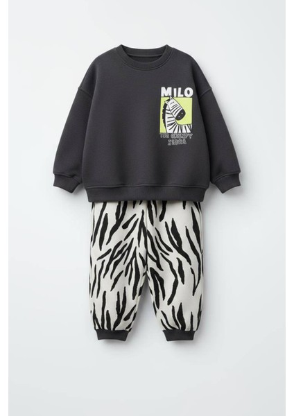 Erkek Çocuk Baskılı 3 Iplik Pamuklu Kumaş Alt Üst Takım