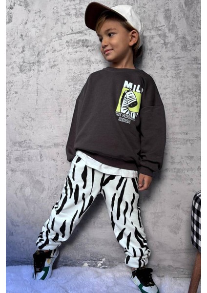 Erkek Çocuk Baskılı 3 Iplik Pamuklu Kumaş Alt Üst Takım modelleri