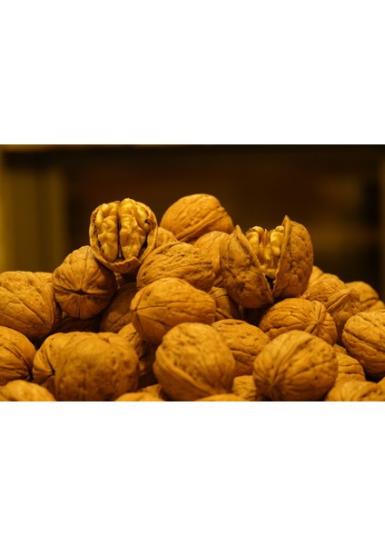 Chandler Kuru Kabuklu Ceviz fiyatları