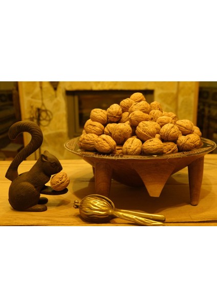 Chandler Kuru Kabuklu Ceviz modelleri