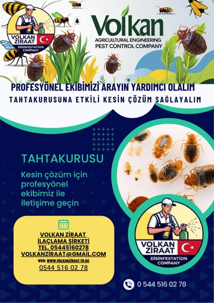 Tahta Kurusunu Öldüren En Etkili Ürün Tahtakurusunu Ne Öldürür Dünyanın En Iyi Böcek Öldüren Ilacı Tahtakurusu Yok Eden Ürün Tablet fiyatları