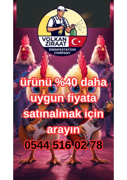 Tahta Kurusunu Öldüren En Etkili Ürün Tahtakurusunu Ne Öldürür Dünyanın En Iyi Böcek Öldüren Ilacı Tahtakurusu Yok Eden Ürün Tablet indirimleri