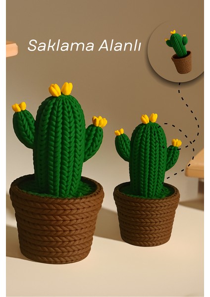 Saklama Alanlı 2'li Kaktüs
