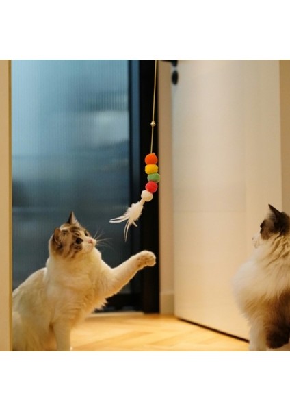 Elastik Kendinden Yapışkanlı Solucan Kedi Oltası fiyatları