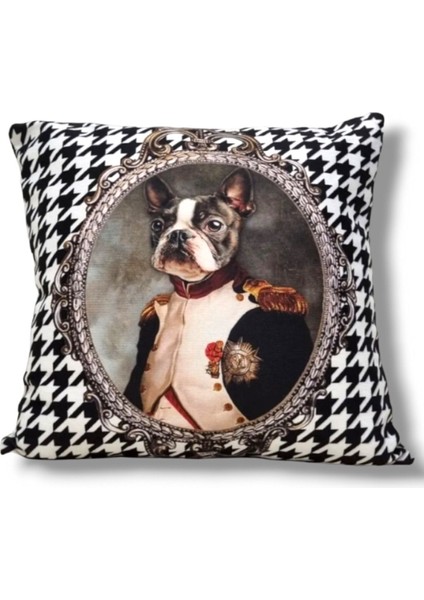 Kaz Ayak General Boston Terrier