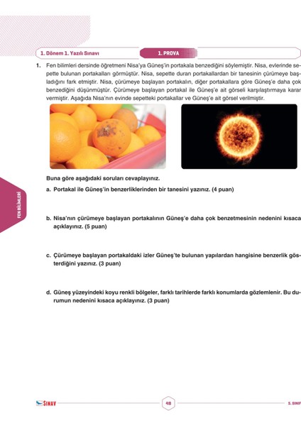 5. Sınıf Tüm Dersler 1. Dönem 1. Yazılı Kitabı fiyatları