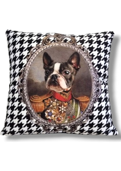 Kaz Ayak Kral Boston Terrier