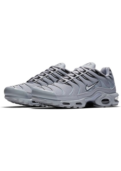 Air Max Plus Tn 'wolf Grey' 852630-021 fiyatları