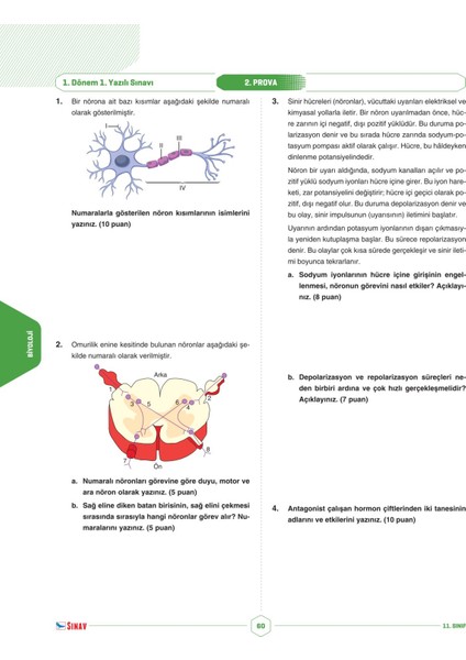 11. Sınıf Sayısal Tüm Dersler 1. Dönem 1. Yazılı Kitabı indirimleri