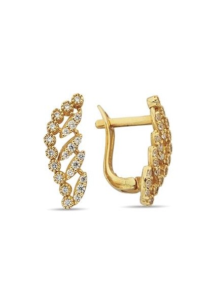 Altın Küpe fiyatları