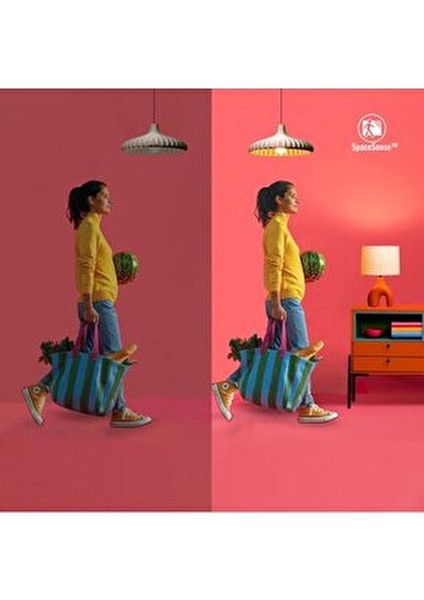 Renkli Işık Barı 10W Akıllı Aydınlatma Google Home ve Alexa Uyumlu Çok Yönlü Kullanım