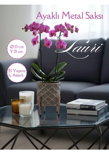 Lauri Lila Metal Saksı