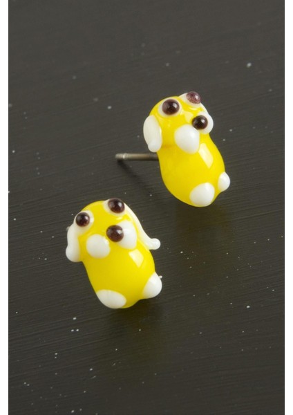 Resveq Köpek Cam Küpe-Renkli fiyatları