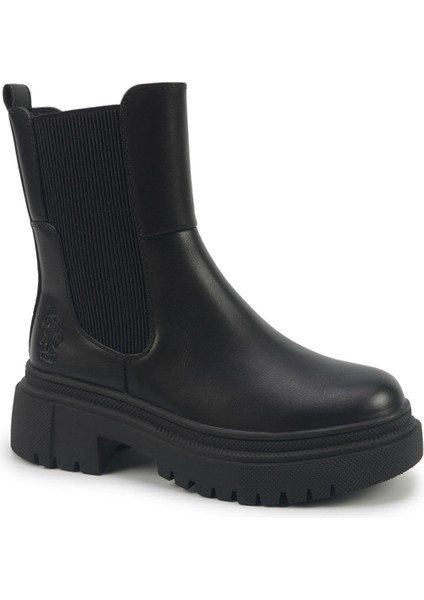 Well 5pr Siyah Kadın Chelsea Bot fiyatları