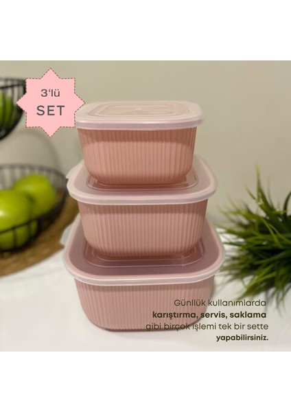 Şeffaf Kapaklı 3'lü Saklama Kabı , Kare Kase Seti