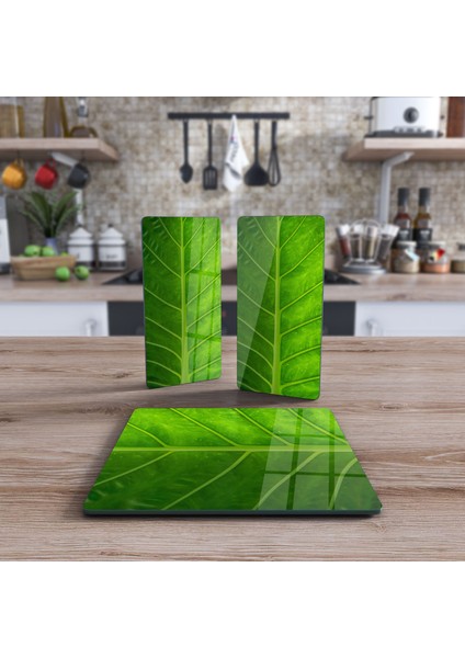 Cam Sunum Servis Tabağı 3'lü Kare Set Yeşil Yaprak Deseni