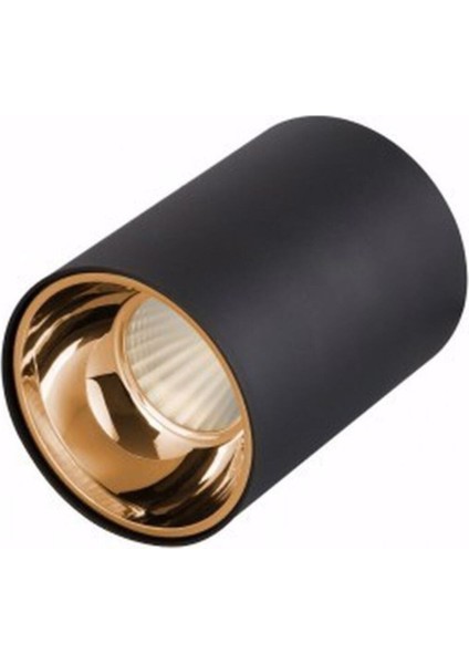 Ct 5421 Dekoratif Sıva Üstü Yuvarlak LED Spot Armatür Siyah-Gold