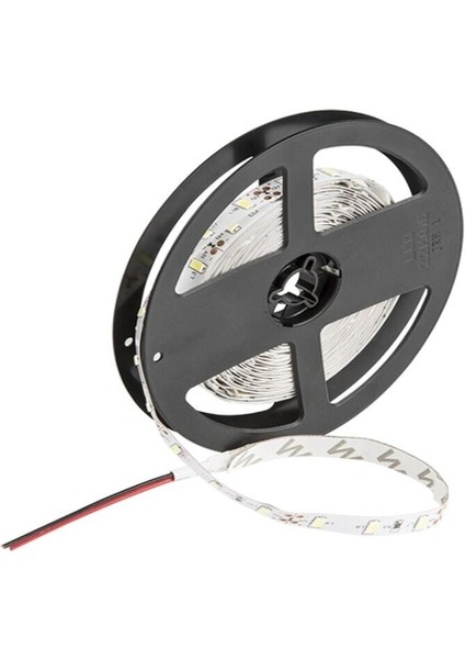 Cata 10 Çipli Iç Mekan Beyaz Şerit LED CT-4480 (5 Metre)