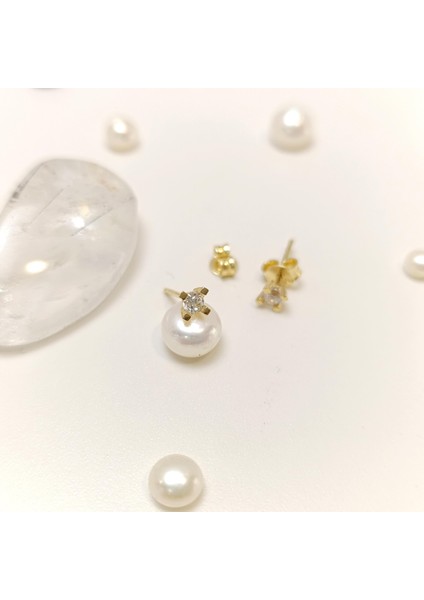 Tek Taş Vidalı Küpe 14 Ayar Altın Hd Videolu fiyatları