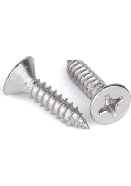 Sunta Vidası Beyaz 5X50 Vida fiyatları