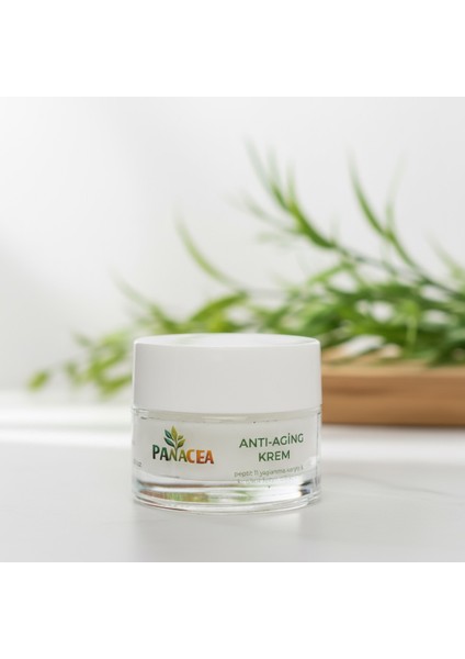 Anti-Aging Cream – Cilt Elastikiyetini Destekleyen Nemlendirici Bakım Kremi